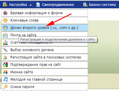 Выбираем пункт ''Домен второго уровня'' в меню ''Настройка''