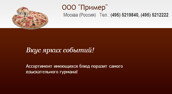 Видим свой логотип на сайте