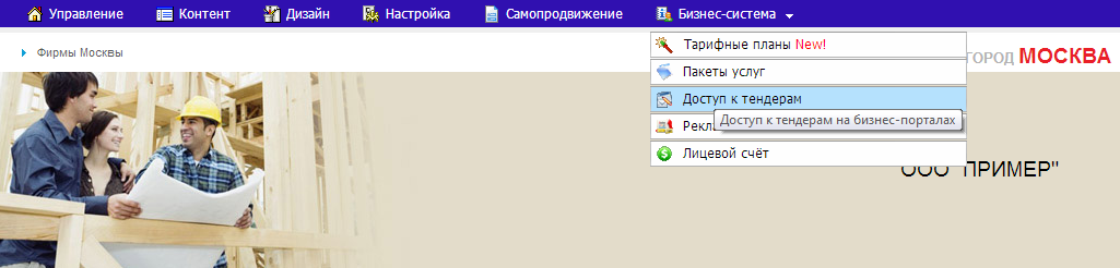 Переход в раздел "Доступ к тендерам"