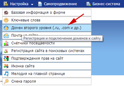 Выбираем пункт ''Домен второго уровня'' в меню ''Настройка''